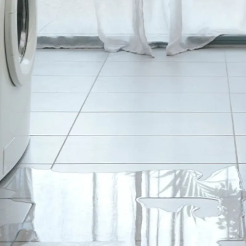 Appliance Leak Cleanup in Putnam County, IN