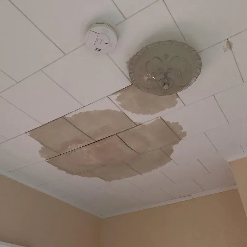 Ceiling Water Damage Repair in Putnam County, IN