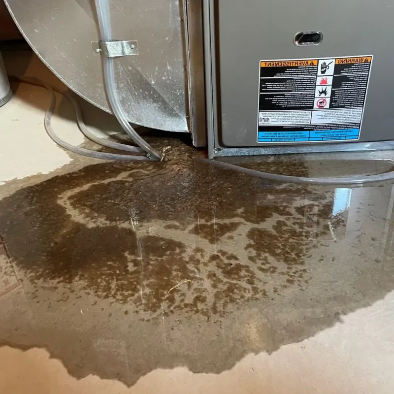 Pipe Burst and Leak Restoration in Putnam County, IN