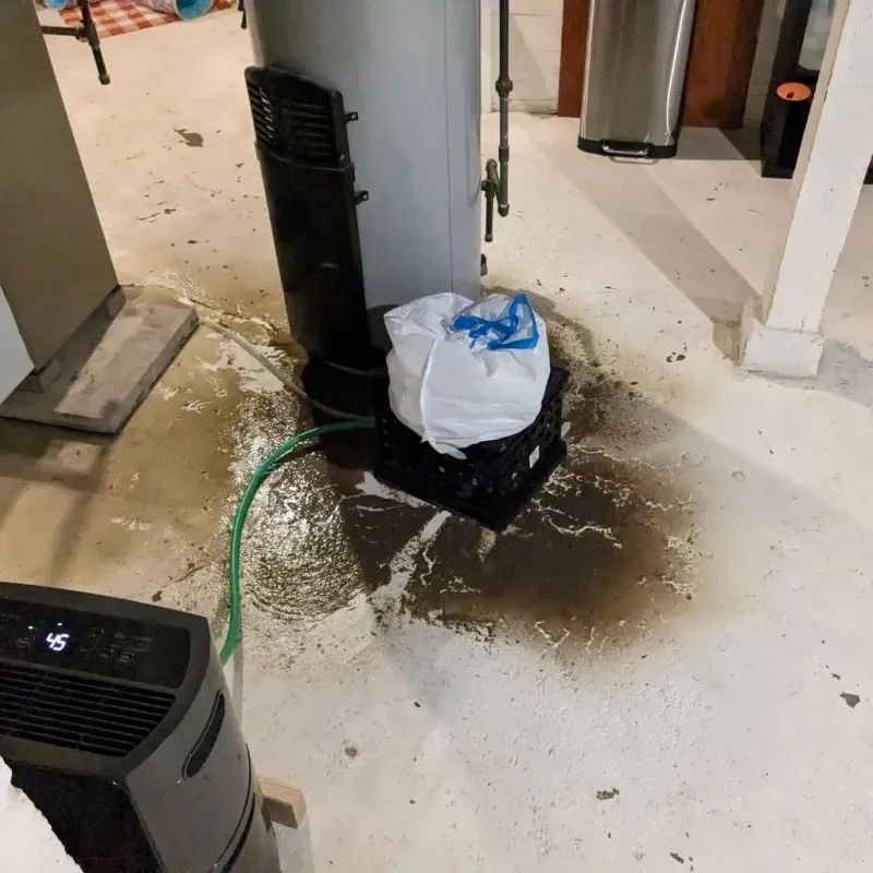 Sewage Backup Cleanup Service in Putnam County, IN